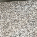 Tôm đá granite đỏ đang giảm giá